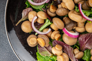 Champignon salad green lettuce canned mushrooms fresh delicious gourmet food background on the table rustic food top view copy space keto and paleo diet vegetarian and vegan food