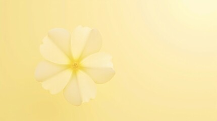 Naklejka premium Softly blooming, a pale yellow flower unfolds its delicate petals against a muted, pastel yellow background. Serenity and calm.