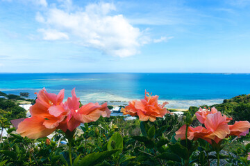 Hibiscus flowers on the background of the sea and blue sky