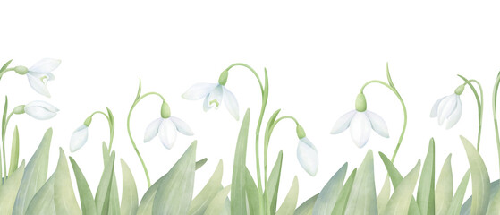Snowdrops in green grass seamless border. Watercolor horizontal composition with first flowers isolated on white. Hand drawn floral arrangement for print and design