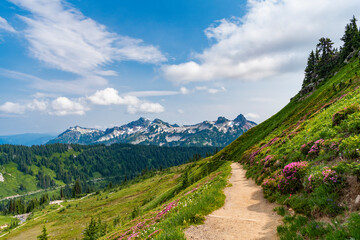 Mountain trail scene. Mountain landscape with hiking trail. Mountain trail in the Alps. Pathway...