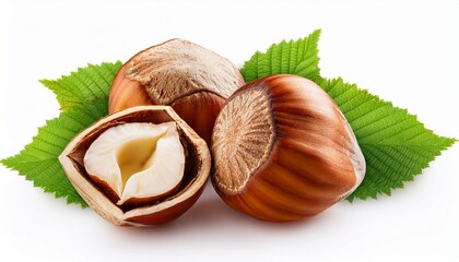 hazelnut with leaves isolated on white background