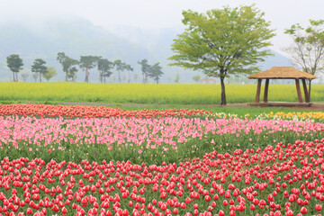 Obraz premium Generated image