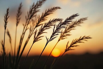 The Sun Is Setting Behind a Field of Tall Grass - Generative AI