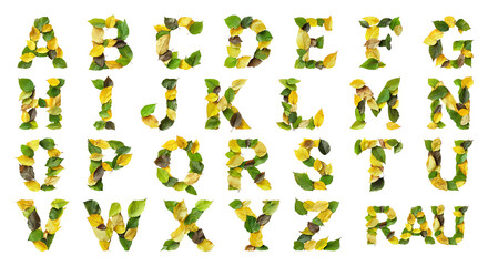 Naklejka premium Lettres de l'alphabet faites de feuilles vertes, jaunes et brunes sur fond transparent