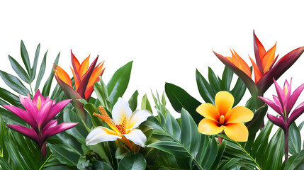 Tropical flowers and verdant foliage creating elegant border design against transparent backdrop, highlighting botanical beauty