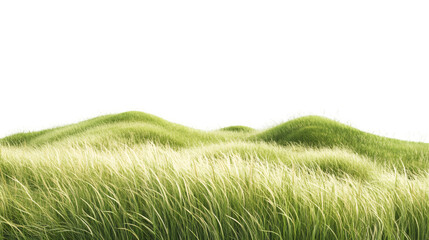 Green grass field blowing in the wind with transparent background, perfect for keying or compositing