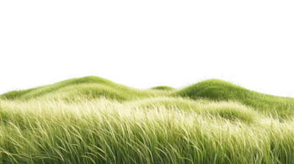 Green grass field blowing in the wind with transparent background, perfect for keying or compositing