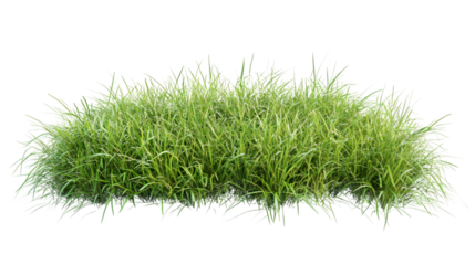 Green grass patch with transparent background, highlighting lush verdant texture for graphic design projects