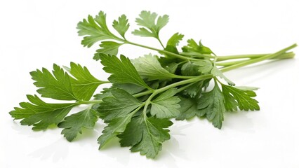 Obraz premium Parsley On White Background