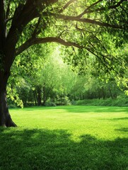 Obraz premium Summer green landscape tranquil park realistic photo lush environment natural setting serenity