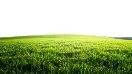 Fototapeta premium Green grass field covering a gentle hill with transparent background, ideal for photomontages and graphic works