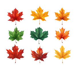 Fototapeta premium Maple leaves autumn's natural beauty isolated on transparent background png