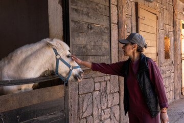 Horse receives a treat from a person in a rustic barn setting during daylight