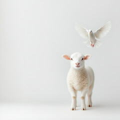 Fototapeta premium White lamb with a dove on a minimalist background