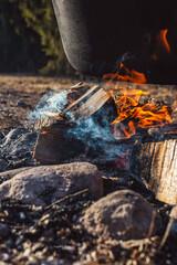 Campfire with Wood Burning Amid Stones in Outdoor Natural Setting During Daylight