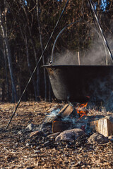 Outdoor Cooking Scene with Suspended Pot over Fire Surrounded by Logs and Natural Setting