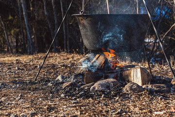 Campfire With a Suspended Iron Pot in a Wilderness Forest During Early Evening