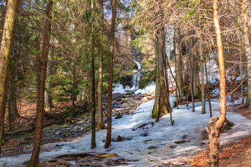 Forest Scene Featuring a Frozen Stream and Trees in a Winter Woodland Setting
