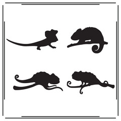 Chameleon silhouette, Chameleon illustration, Chameleon clipart, Chameleon vector , Chameleon icon , black Chameleon, Chameleon illustration on white background, Chameleon vector illustration , 				