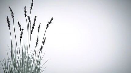 Close up view of dark colored grass stalks against a bright, blurry background. The image has a minimalist, serene feel.