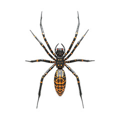 3D icon of Tanzanian whip spider isolated on transparency background