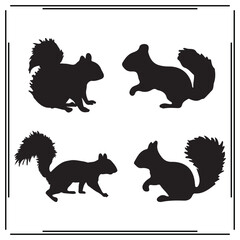 Squirrel  silhouette,  Squirrel illustration , Squirrel  clipart, Squirrel  vector , Squirrel  icon , black Squirrel , Squirrel  illustration on white background, Squirrel  vector illustration,