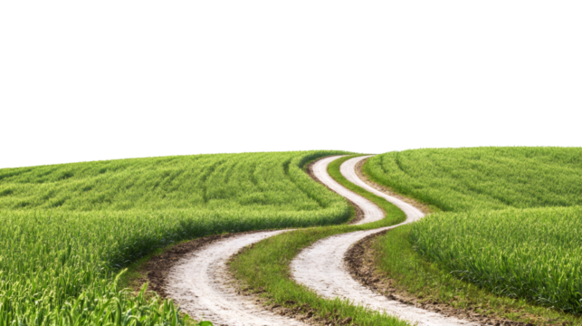 Winding dirt road traversing verdant meadow against transparent backdrop, offering seamless design integration for creative compositions