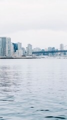 Naklejka premium City skyline viewed from the water on an overcast day. White and gray buildings line the shore, reflected subtly in the calm water. Soft, diffused light.