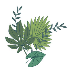 tropical green leaves set. monstera, palm, fern, ivy in various shapes and sizes. simple flat style. Vector illustration. Perfect for prints, packaging, invitations, branding, backgrounds, textile