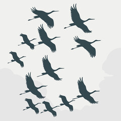 Obraz premium set of silhouettes of birds