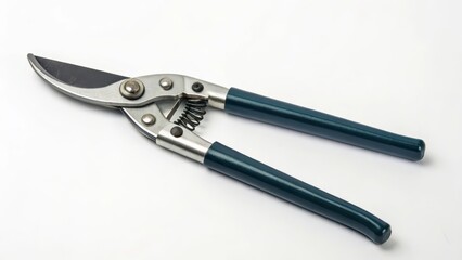 Fototapeta premium Metal shears, blue handles, isolated on white background
