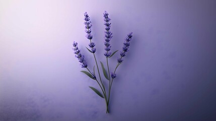 Lavender Essence: Delicate lavender sprigs in varying shades of purple against an artistic background, showcasing the plant's elegance and calming nature.