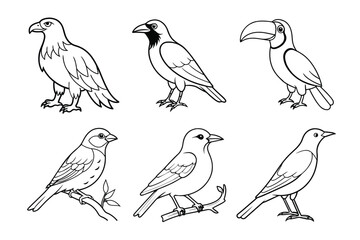 Fototapeta premium Set of bird vector illustration
