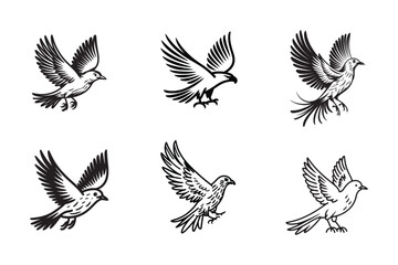Premium bird set of vectors  designs elegant