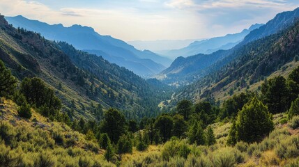 Fototapeta premium Serene mountain valley landscape, showcasing a breathtaking vista of rolling hills and lush greenery under a partly cloudy sky.