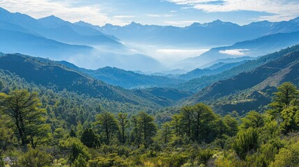 Obraz premium Serene landscape of rolling hills and distant mountains under a clear blue sky. Lush green vegetation fills the foreground, creating a tranquil atmosphere.
