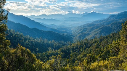 Fototapeta premium Serene landscape of rolling hills and mountains bathed in the soft light of sunrise or sunset. The vast expanse of lush greenery creates a calming and peaceful atmosphere.
