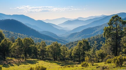 Fototapeta premium Serene mountain landscape at sunrise. Rolling hills and lush green forests bathed in soft, golden light. A breathtaking view of nature's beauty.