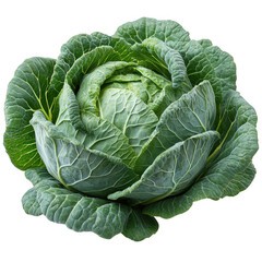 A whole fresh cabbage with tightly packed green leaves