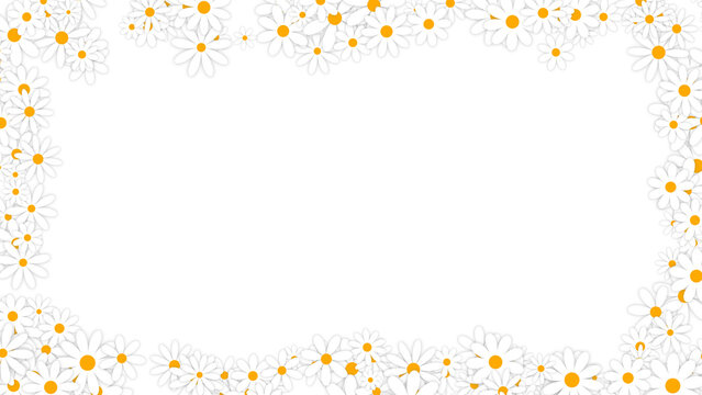 spring daisy flowers border frame on transparent background , png nature springtime cosmetics and beauty social media design element	