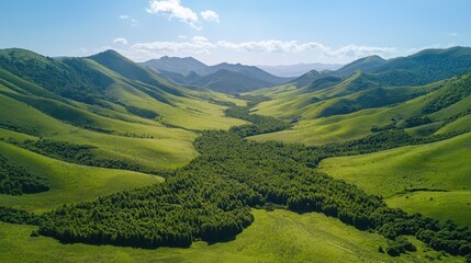 Obraz premium Serene aerial view of rolling green hills and a lush forest valley under a bright blue sky. Nature's beauty at its finest.