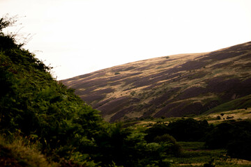 Mountain View of Northumberland hills