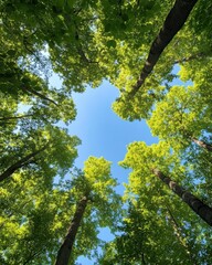 Fototapeta premium Regenerative Forest Canopy Eco-Conscious Climate Solution Visualizing Sustainable Biomimicry and Green Infrastructure Innovation for Carbon Neutrality