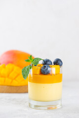 Vegan Italian homemade panna cotta dessert of coconut cream thickened with agar agar with layer of...