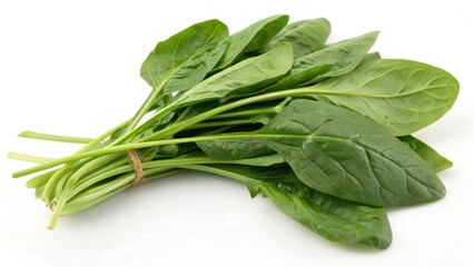 Fresh Spinach Bunch on White Background