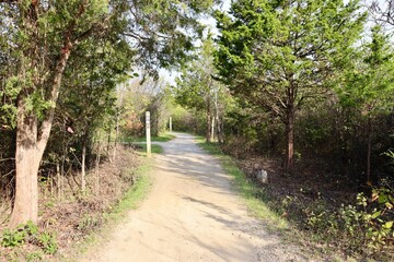 The empty trail in the woods on a sunny day.