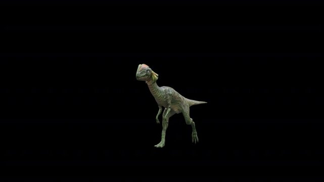 dinosaur dilophosaurus walk front loop