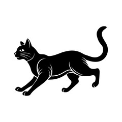 black cat on white background