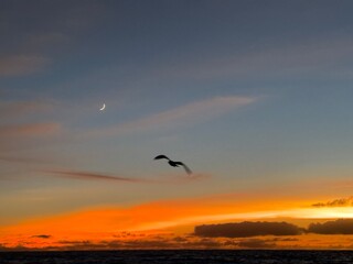 Norway view sunset mountains